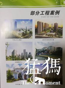 祝贺河南弘鼎建筑防水公司成为驻马店市建筑防水协会常务会长单位