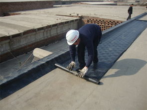 连云港sbs防水卷材供应,连云港sbs防水卷材供应生产厂家,连云港sbs防水卷材供应价格