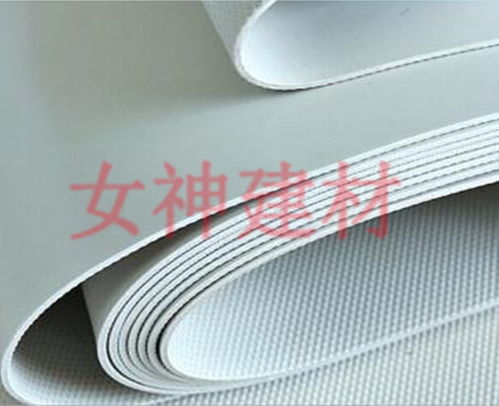 温州sbs防水卷材 安徽女神防水建材公司