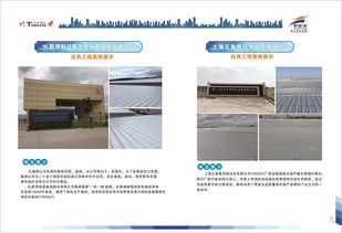 天信野麦龙金属屋面专用防水卷材国家专利产品