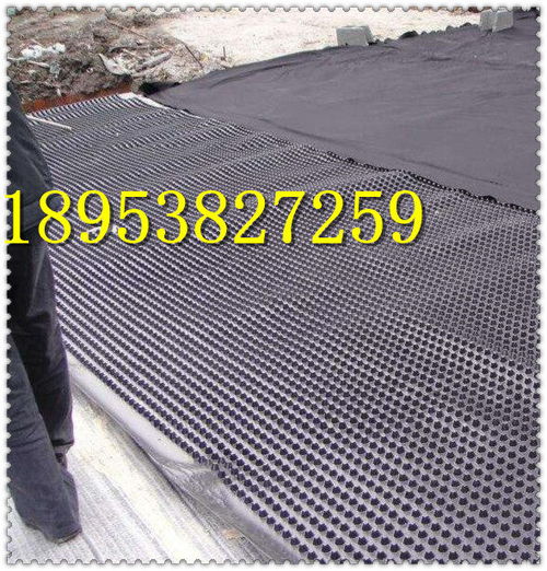 长春h25mm塑料排水卷材板现货销售昌都滤水板