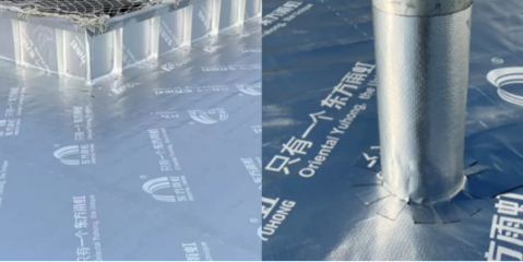 东方雨虹再获金禹奖,携手宝马续写合作新篇章