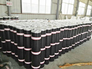 价格适中的sbs防水卷材,厂家火热供应 西藏自粘改性沥青sbs防水卷材