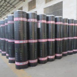 sbs防水卷材生产报价 厂家