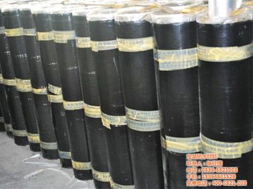 sbs防水卷材优点 十堰sbs防水卷材 宝龙防水材料