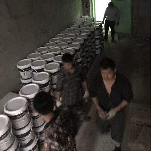 厂家直销高级工程防水涂料液体卷材涂膜材料