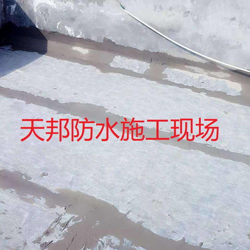 建筑防水卷材产品 价格、厂家与中国供应商全解析