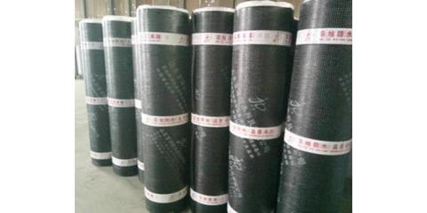 山东SBS耐根穿刺防水卷材 建筑防水的可靠选择