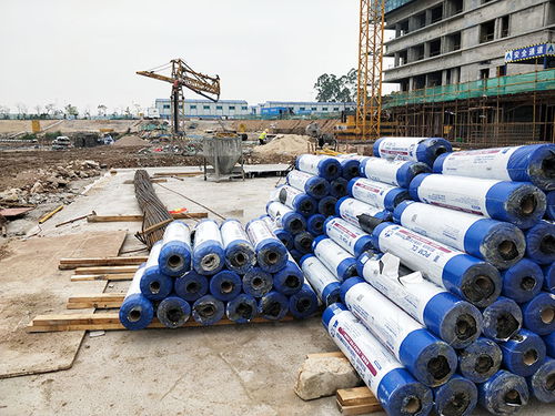 防水卷材十大品牌概览 建筑防水卷材产品选购指南