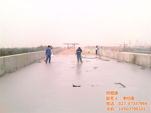专业防水解决方案 从桥面抛丸到卷材销售的一站式服务